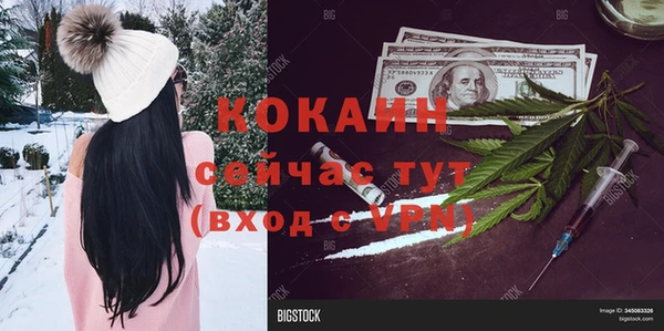 ГАЛЛЮЦИНОГЕННЫЕ ГРИБЫ Долгопрудный