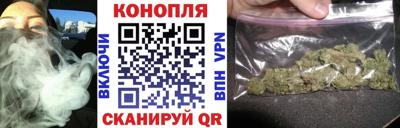 kraken tor Барыш Бошки марихуана OG Kush